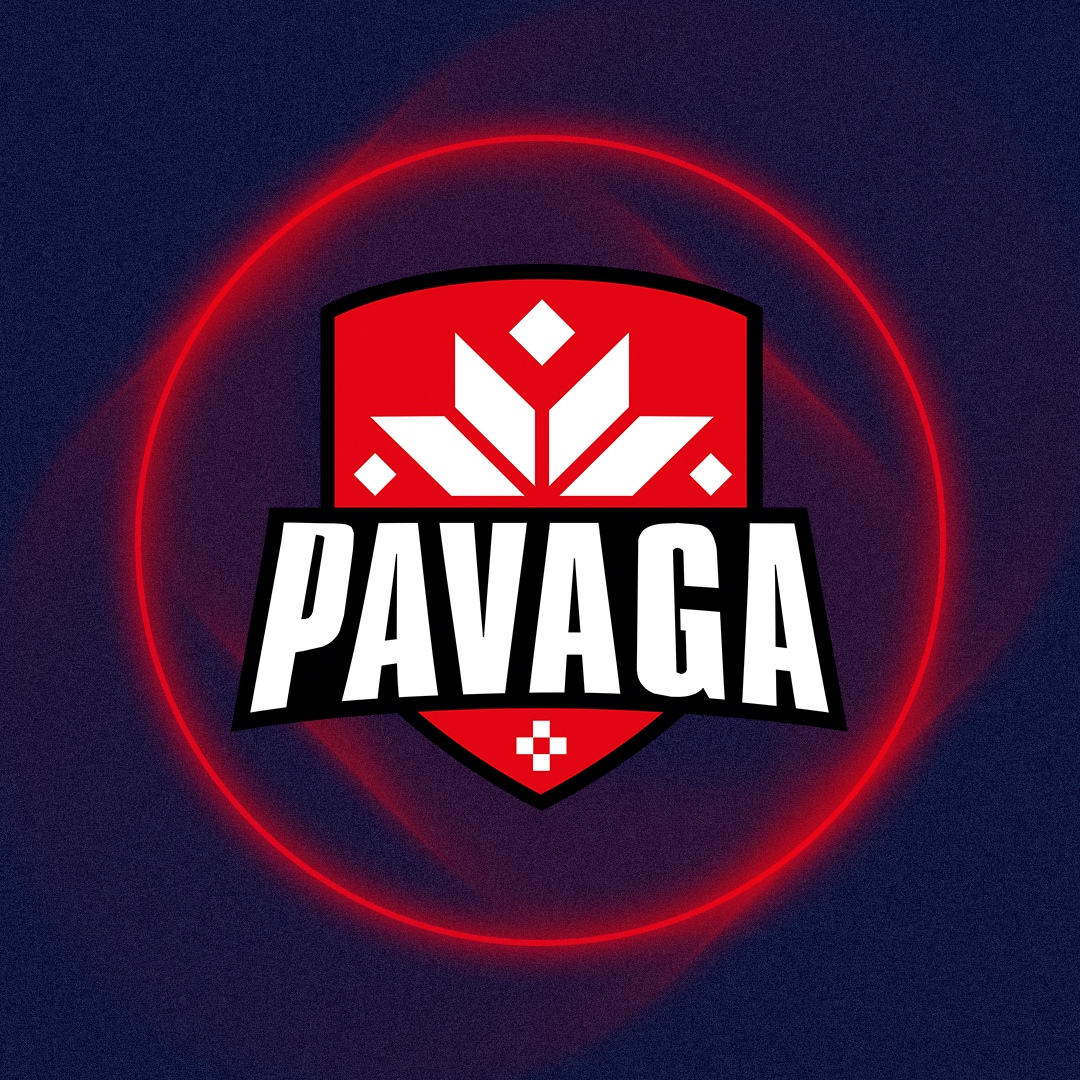 Pavaga gaming dota фото 4