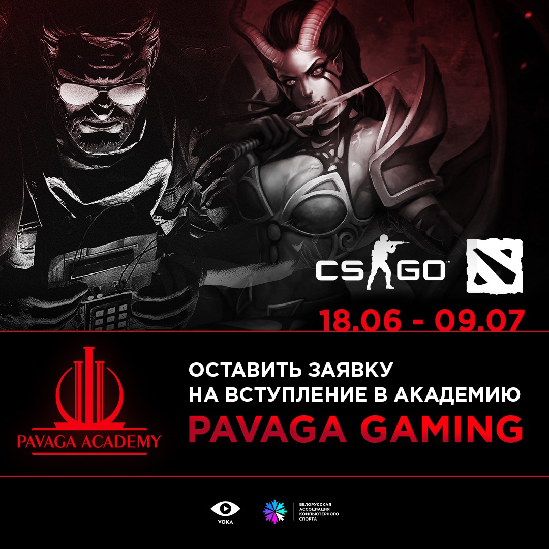 Pavaga gaming dota фото 13