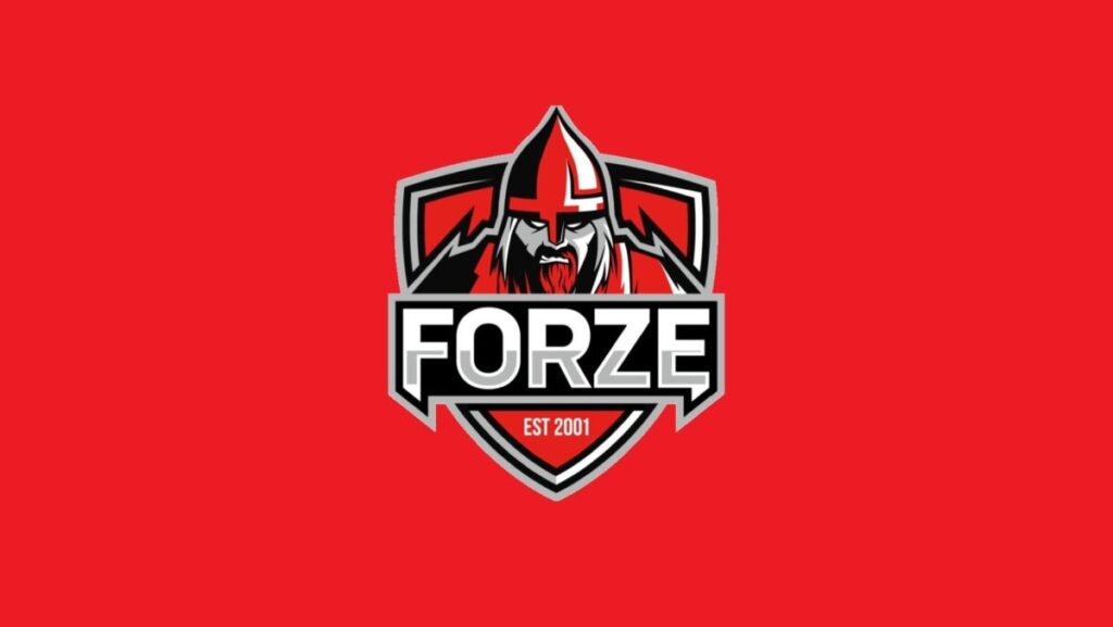 ForZe Esports сменит логотип в 2023 году | ProCyber.me