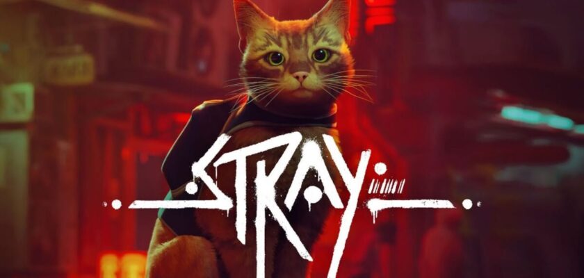 stray