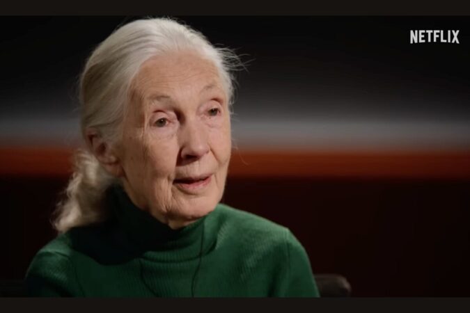 Сервис Netflix запустил проект с интервью со знаменитостями, которые выпускают только после их смерти